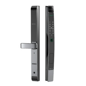 Khóa Cửa Điện Tử TechLock TLD30-GR [FaceID – Tĩnh Mạch - Vân tay – Thẻ từ – Mã Số – APP] Nhôm Xingfa